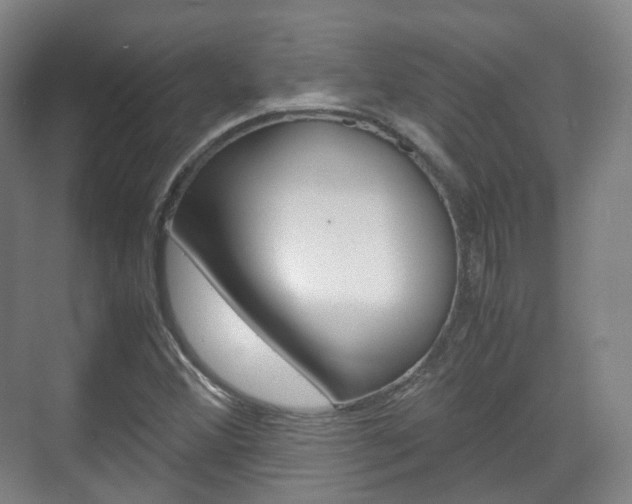 X0000071761356200606300905