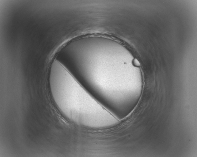 X0000071761359200606300905