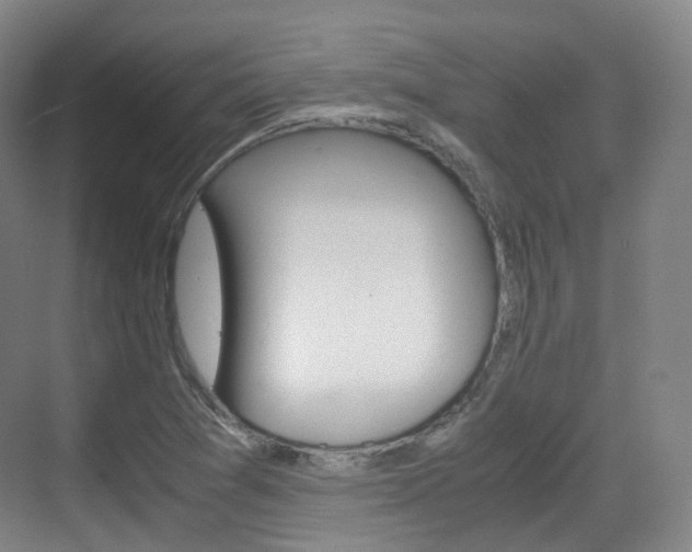 X0000071761361200606300905
