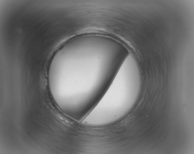 X0000071761363200606300905