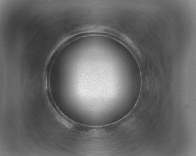 X0000071761368200606300905