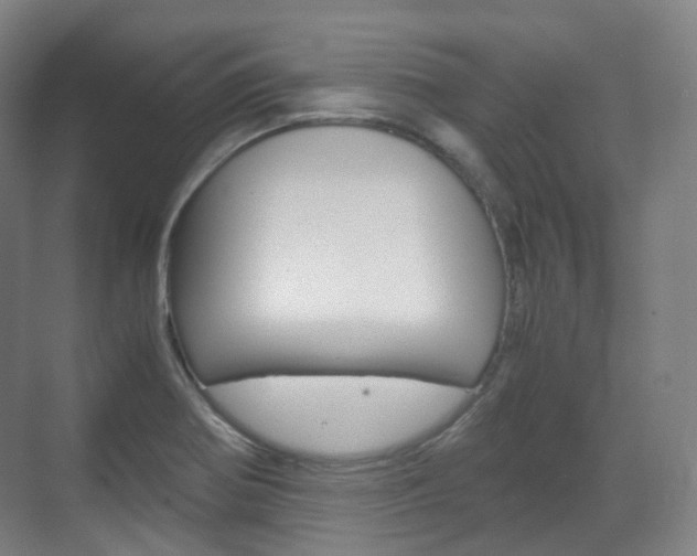 X0000071761370200606300905