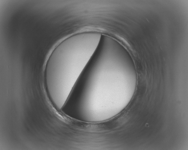 X0000071761371200606300905