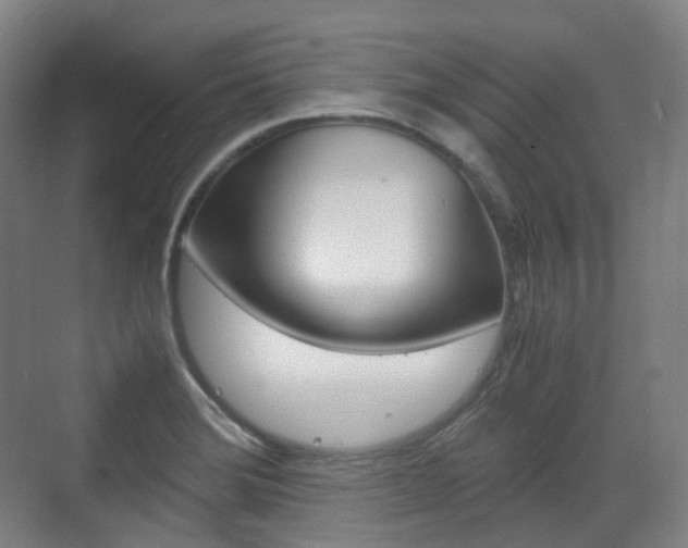 X0000071761372200606300905
