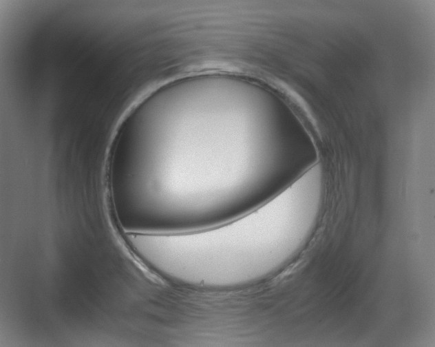 X0000071761373200606300905