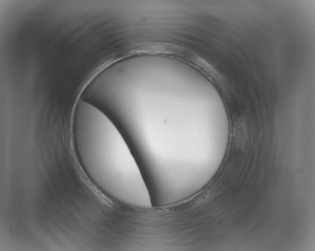X0000071761378200606300905