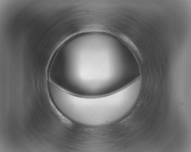 X0000071761380200606300905