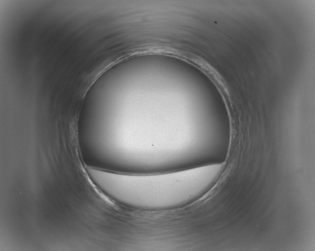 X0000071761385200606300905
