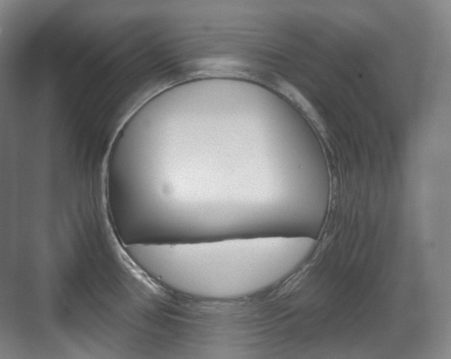 X0000071761386200606300905