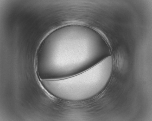 X0000071761391200606300904