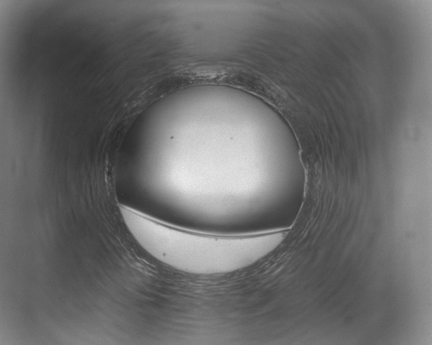 X0000071761394200606300904