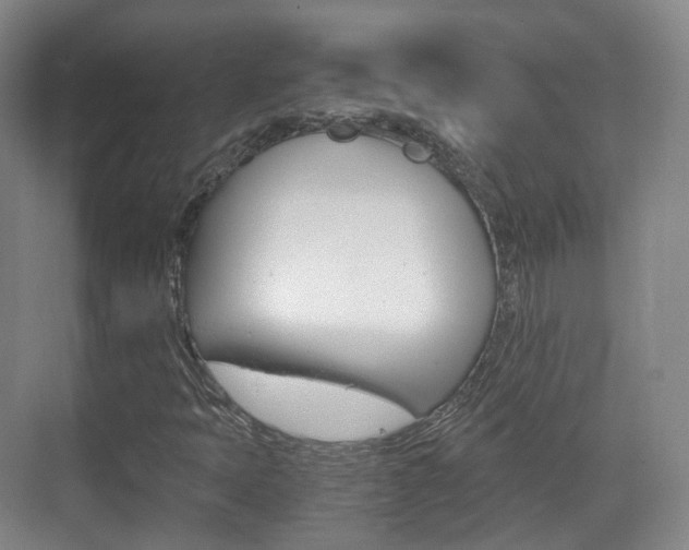 X0000071761397200606300904