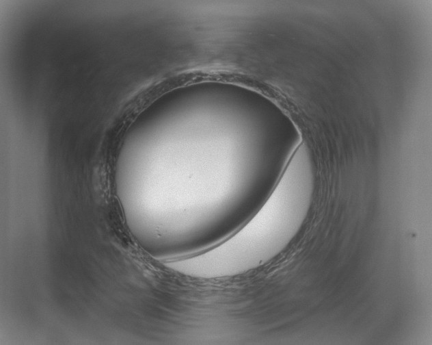 X0000071761398200606300904