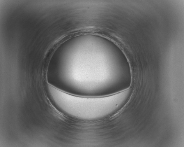 X0000071761402200606300904