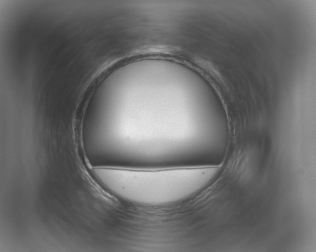 X0000071761404200606300904