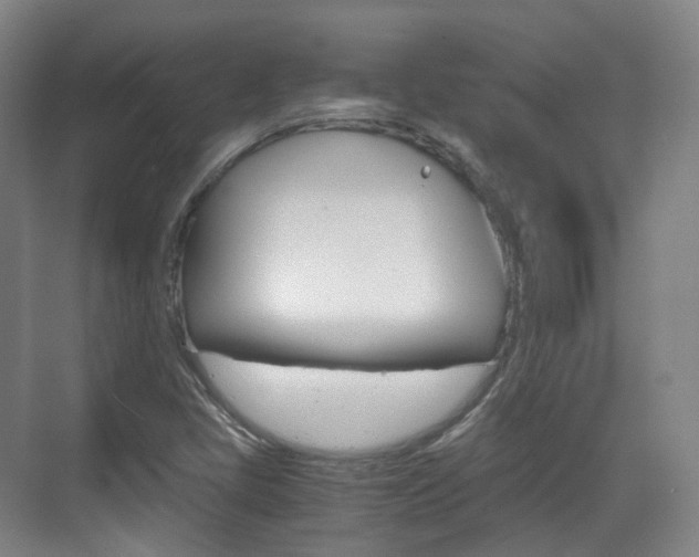 X0000071761405200606300904