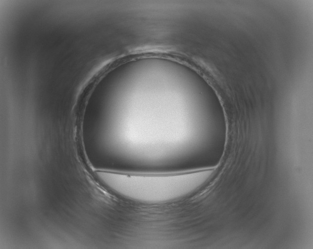 X0000071761406200606300904