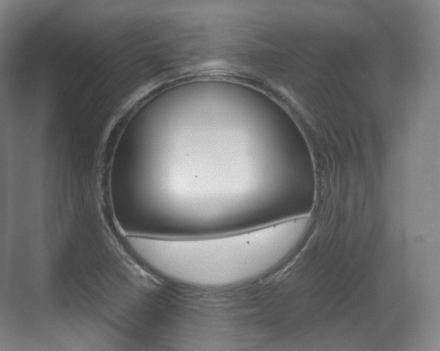 X0000071761410200606300904