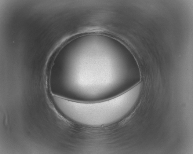 X0000071761414200606300904