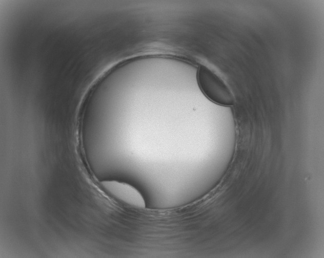 X0000071761415200606300904