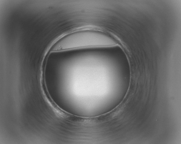 X0000071761418200606300904