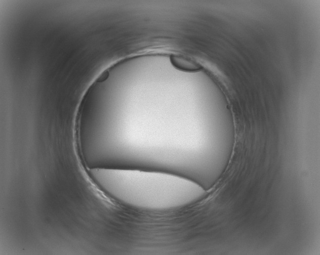 X0000071761423200606300904