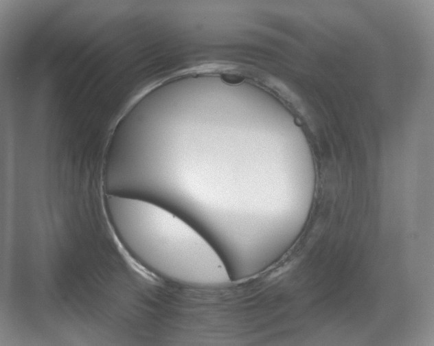 X0000071761425200606300904