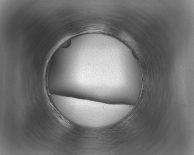 X0000071761427200606300904