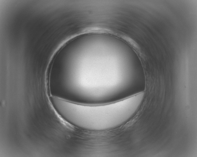 X0000071761430200606300904