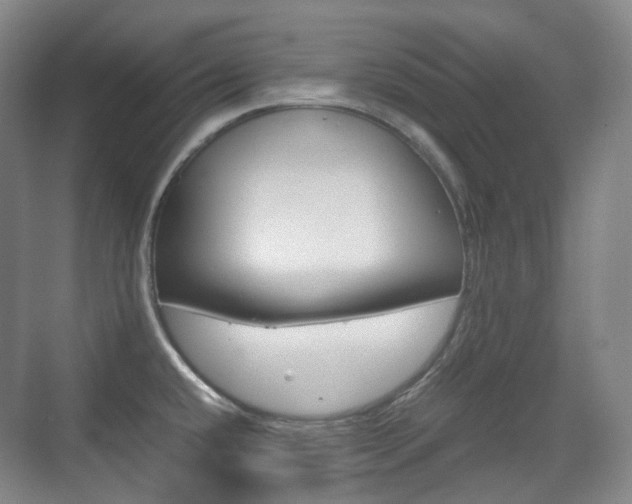 X0000071761432200606300904