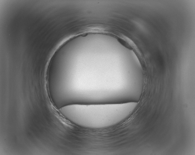 X0000071761435200606300904