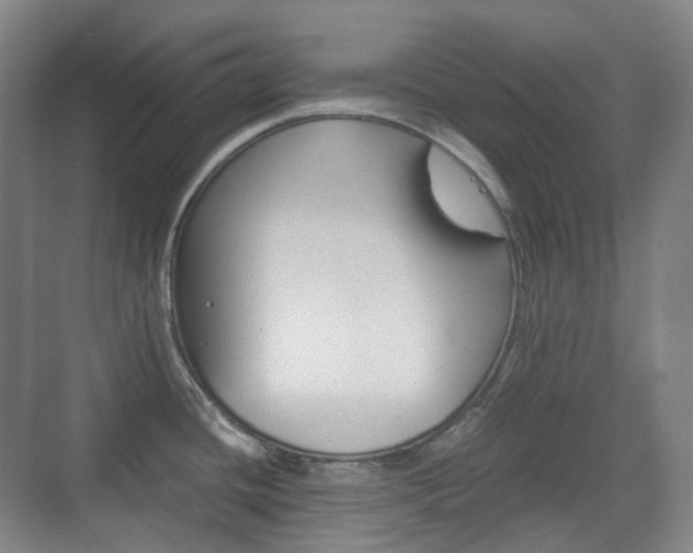 X0000071761436200606300904