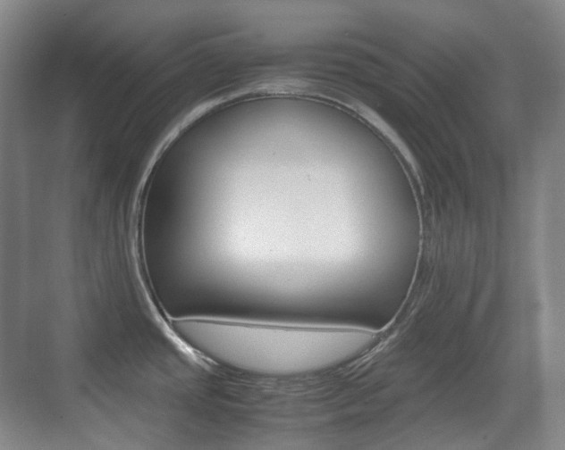 X0000071761437200606300904