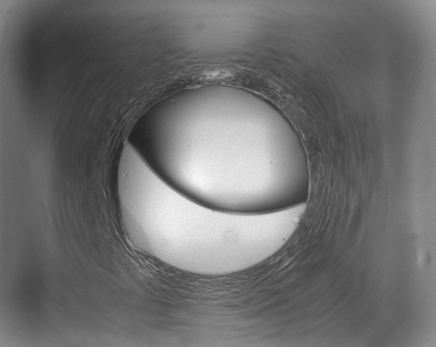 X0000071761441200606300904