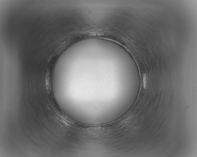 X0000071761444200606300904