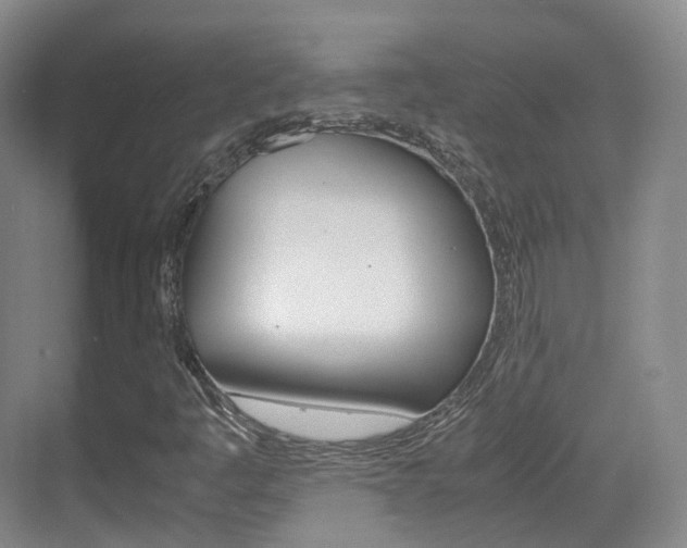 X0000071761445200606300904