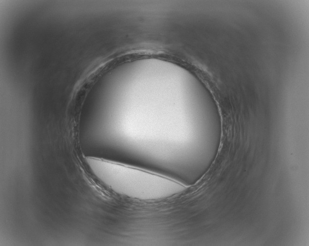 X0000071761448200606300904