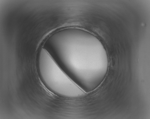 X0000071761452200606300903