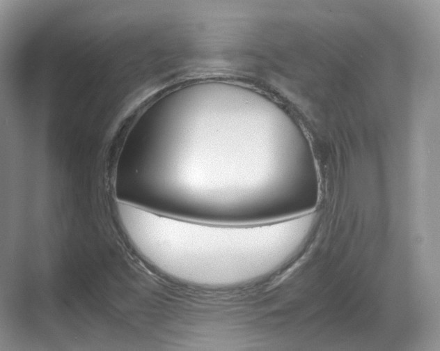 X0000071761453200606300903