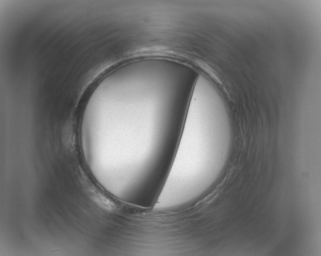 X0000071761458200606300903