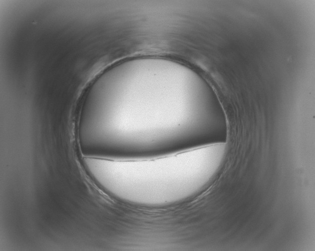 X0000071761459200606300903