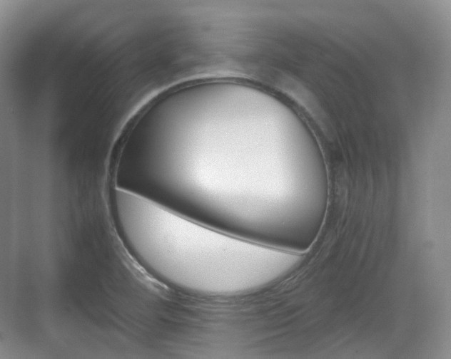 X0000071761460200606300903