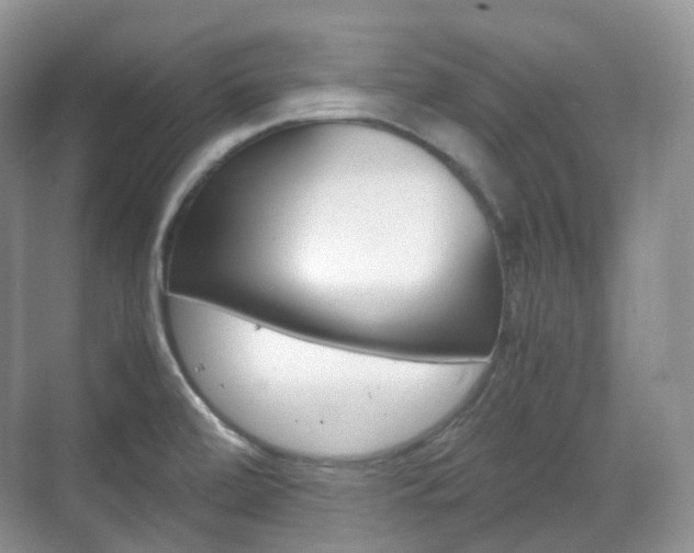 X0000071761472200606300903