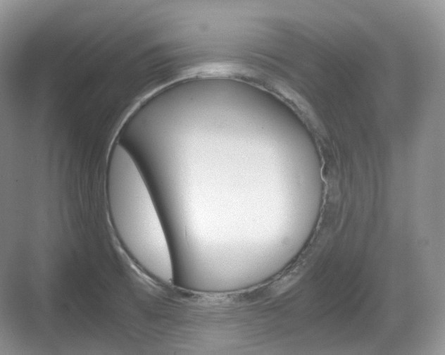 X0000071761473200606300903