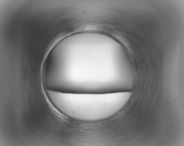 X0000071761475200606300903