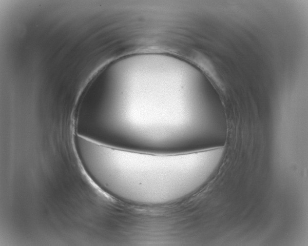 X0000071761476200606300903
