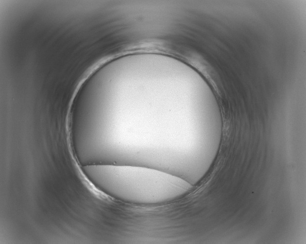 X0000071761482200606300903