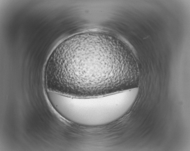 X0000071761483200606300903