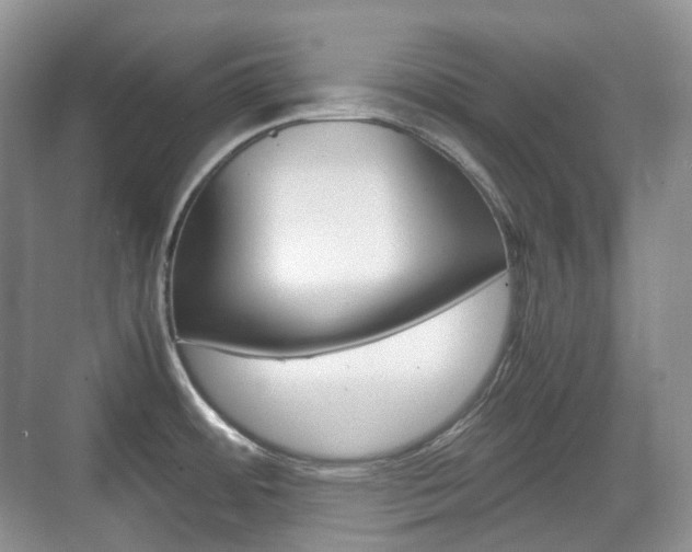X0000071761484200606300903