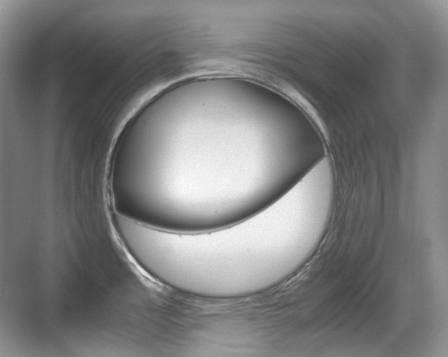 X0000071761485200606300903